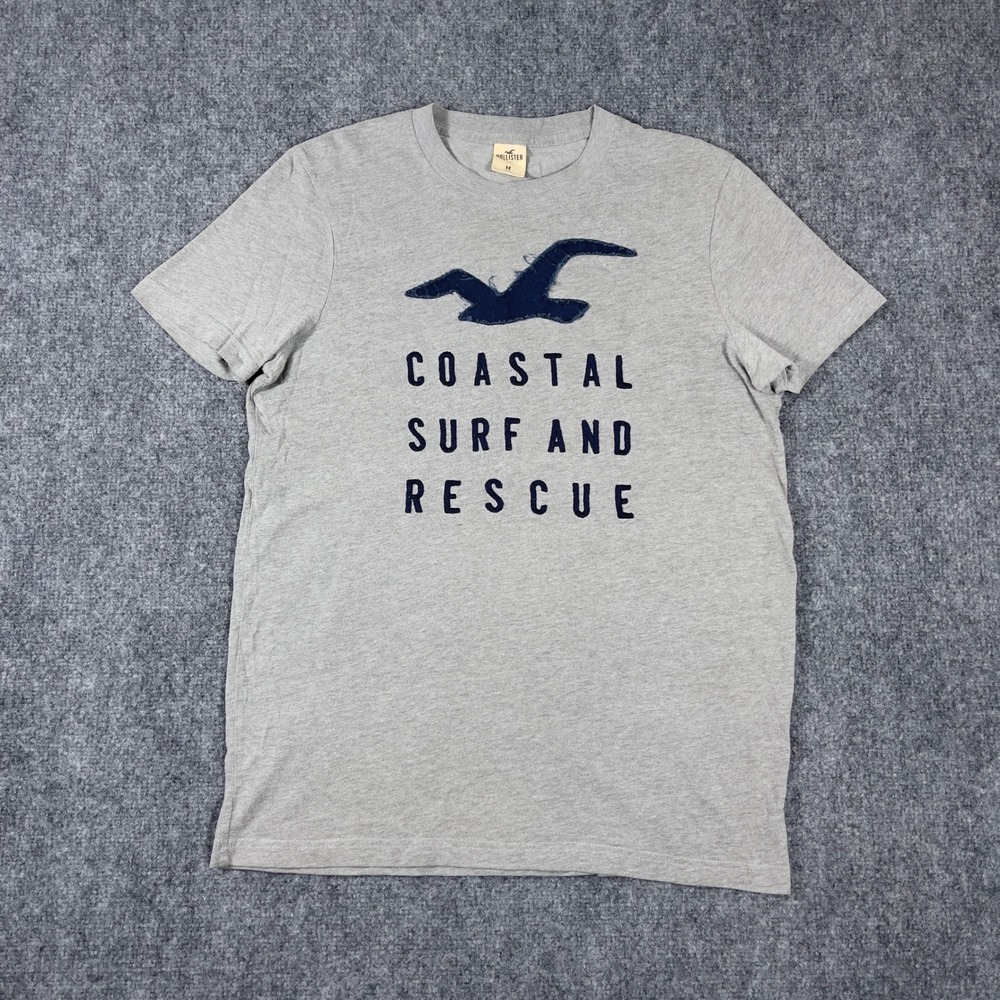 Y2K Hollister Graphic Tee Mens Medium Gray Coastal Surf and Rescue Seagull Logo